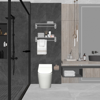 Modern TOILET-ID:376214985