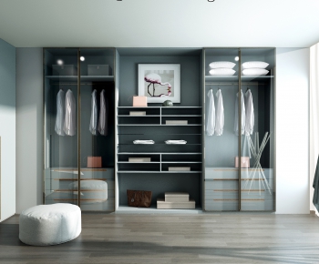 Modern Clothes Storage Area-ID:397552013