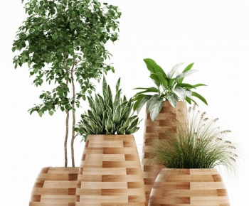 Modern Potted Green Plant-ID:777045017