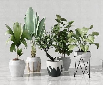 Modern Potted Green Plant-ID:398458961