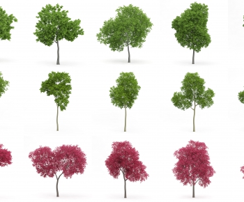 Modern Tree-ID:172230013