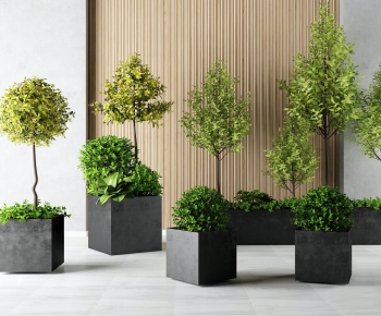 Modern Potted Green Plant-ID:172353038