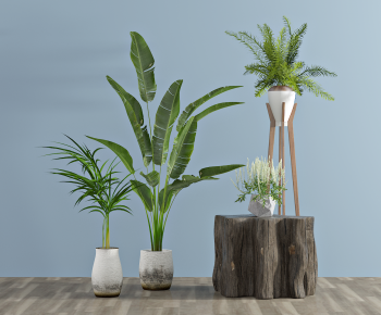 Modern Potted Green Plant-ID:407283075