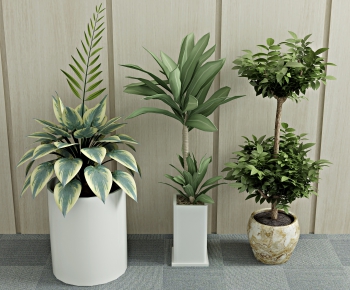 Modern Potted Green Plant-ID:251420976