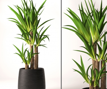 Modern Potted Green Plant-ID:166979078