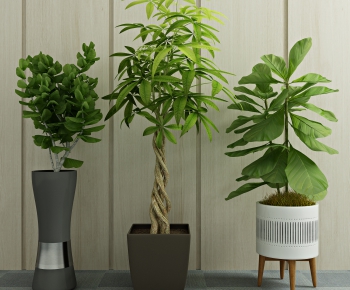 Modern Potted Green Plant-ID:446846013