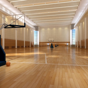 Modern Indoor Stadium-ID:704855923