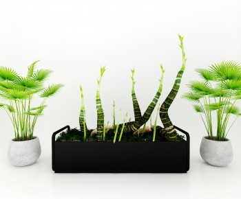 Modern Potted Green Plant-ID:689069033