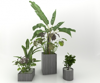 Modern Potted Green Plant-ID:721973901