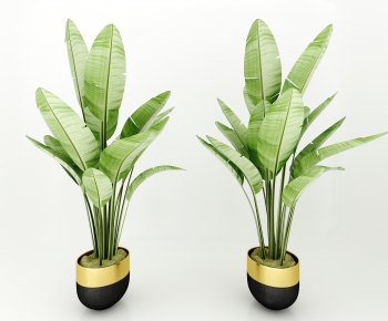 Modern Potted Green Plant-ID:805044892