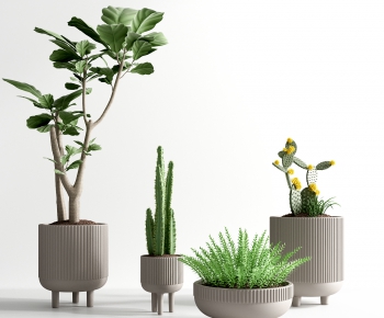 Modern Potted Green Plant-ID:541731121