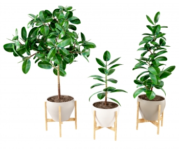 Modern Potted Green Plant-ID:126178037