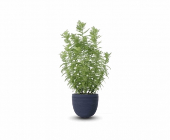 Modern Potted Green Plant-ID:924683092