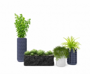 Modern Potted Green Plant-ID:921902894