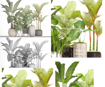 Modern Potted Green Plant-ID:962517022