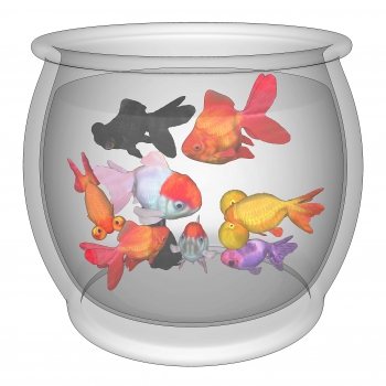 Modern Fish Tank-ID:884843118