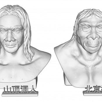 现代山顶洞人北京猿人雕塑-ID:511565929