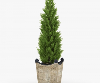 Modern Potted Green Plant-ID:622296091