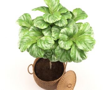 Modern Potted Green Plant-ID:305569895