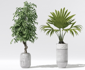 Modern Potted Green Plant-ID:264286998