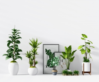 Modern Potted Green Plant-ID:482530692