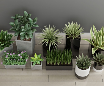 Modern Potted Green Plant-ID:606301077