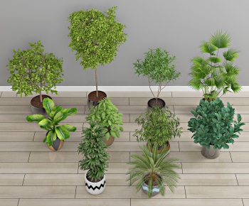 Modern Potted Green Plant-ID:755826956