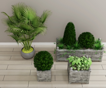 Modern Potted Green Plant-ID:505445007