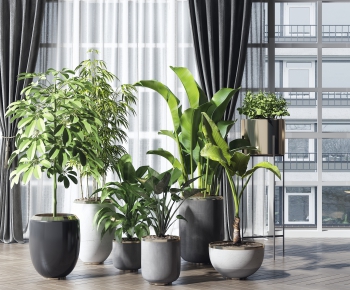 Modern Potted Green Plant-ID:662261014