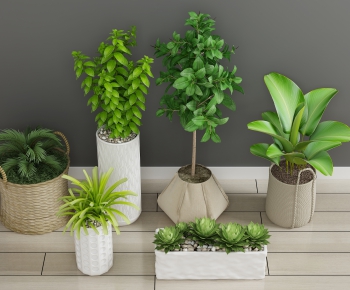 Modern Potted Green Plant-ID:950251105