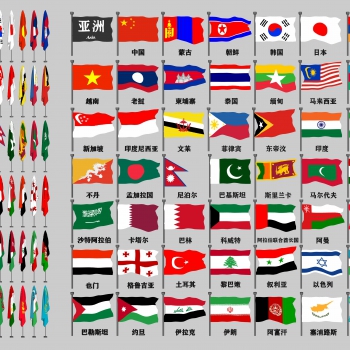 现代外交旗组合-ID:805000072