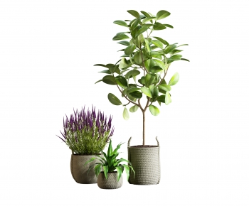 Modern Potted Green Plant-ID:618580109