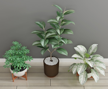 Modern Potted Green Plant-ID:696771142