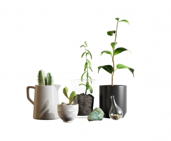 Modern Potted Green Plant-ID:236309056