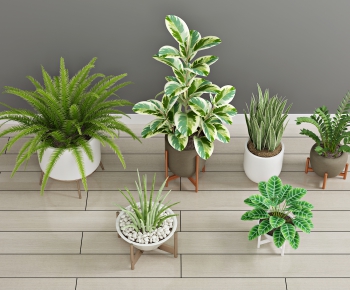 Modern Potted Green Plant-ID:101524119