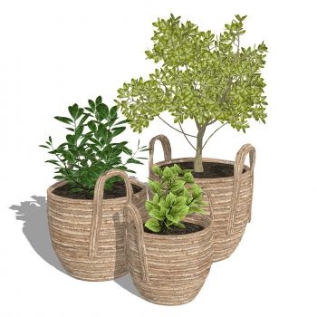 Modern Potted Green Plant-ID:651882893