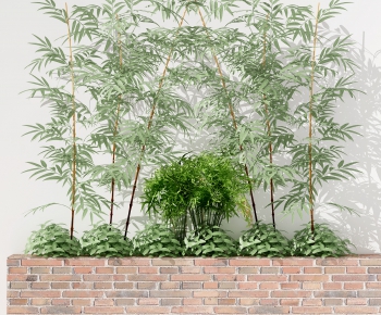 现代植物 竹子-ID:856338986