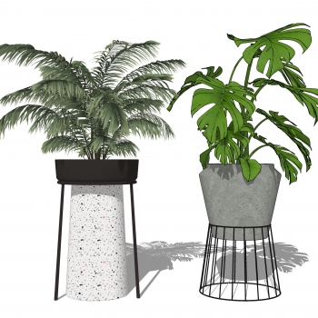 Modern Potted Green Plant-ID:624239479