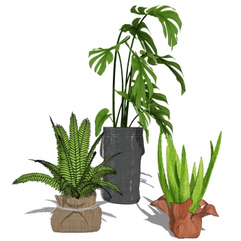 Modern Potted Green Plant-ID:167232998