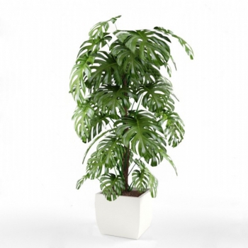 Modern Potted Green Plant-ID:853545909