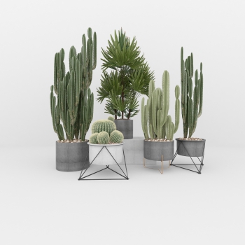 Nordic Style Potted Green Plant-ID:364892961