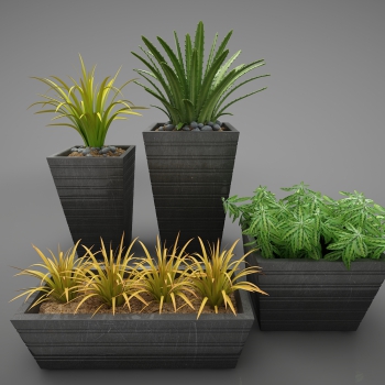 Modern Potted Green Plant-ID:948605064