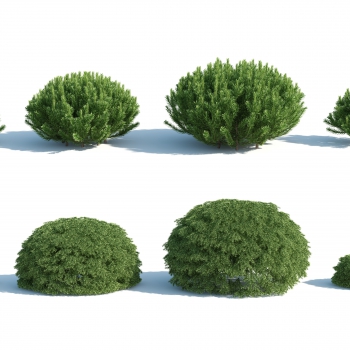 Modern Shrubbery-ID:674700747