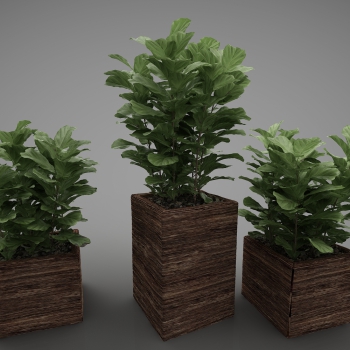 Modern Potted Green Plant-ID:141630899