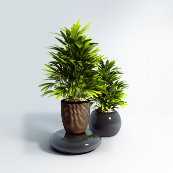 Modern Potted Green Plant-ID:579746967