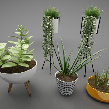 Modern Potted Green Plant-ID:486862901