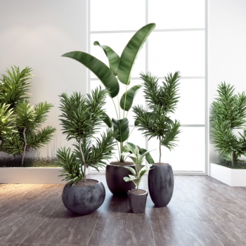 Modern Potted Green Plant-ID:466574917