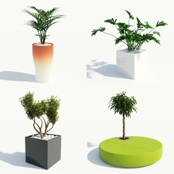 Modern Potted Green Plant-ID:145186907