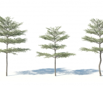 Modern Tree-ID:268591887