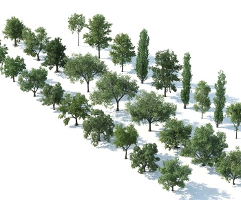 现代树木组合3D模型